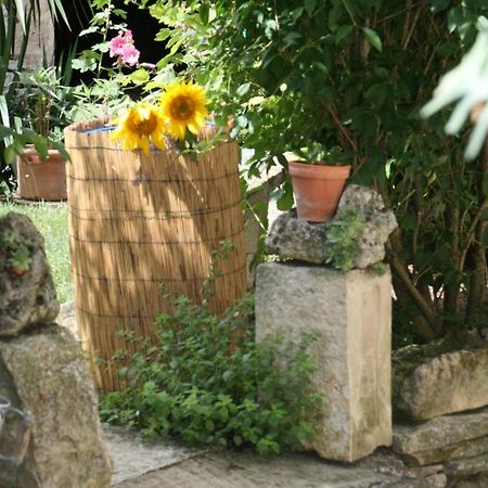Annay-sur-Serein Chambres D'Hotes De La Vallee Du Serein מראה חיצוני תמונה
